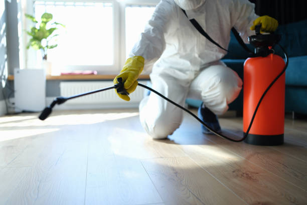 Reliable Odor Removal contractor in Sonora, CA by Dulley Family Biohazard Services